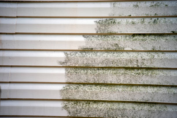 Trusted Cottonwood, CA Junk Removal Experts